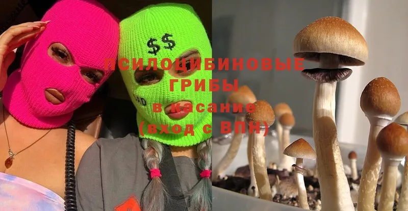 купить закладку  Данков  Галлюциногенные грибы Psilocybine cubensis 